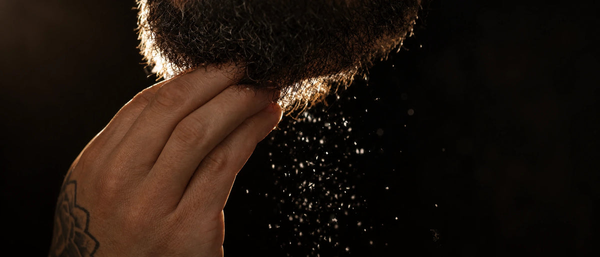 Kleine schilfers vallen uit een baard terwijl vingers erdoor gaan, tegen een donkere achtergrond